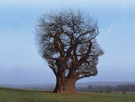 Scaling Your Business